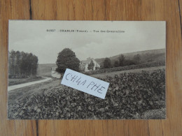 CHABLIS - VUE DES GRENOUILLES - Chablis