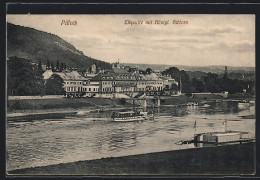 AK Dresden-Pillnitz, Elbdampfer Passiert Das Königl. Schloss  - Pillnitz