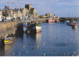 NORMANDIE BARFLEUR Le Port - Barfleur