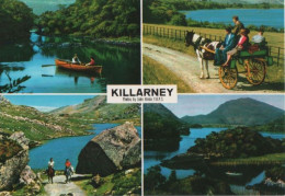 105485 - Irland - Killarney - 1993 - Kerry