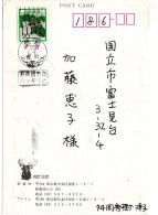 80896 - Japan - 1980 - ¥20 Kiefer EF A AnsKte Neujahrsstpl TOSHIMA -> Kunitachi - Cartas & Documentos