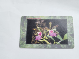 CZECH REPUBLIC-(C266-03.01.99)-Orchid Cattleya Aclandiae-(247)-(50units)-(tirage-200.000)-used Card+1card Prepiad Free - Czech Republic