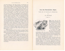 A102 1517 Fritz Frech Karnische Alpen Osttirol Kärnten Friaul Artikel 1890 - Andere & Zonder Classificatie