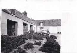 91 BRUYERES LE CHATEL GRAINE SIMON LOUIS FRERES GRAINES 5 PHOTOS ANNEE 1960 2 PHOTOS THIRION ARPAJON - Bruyeres Le Chatel