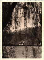 BRUXELLES / BRUSSEL / AUDERGHEM  / ETANG ROUGE - Auderghem - Oudergem