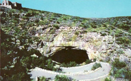 P85. Postcard. Natural Entrance By Trail Carlsbad Caverns National Park. New Mexico - Other & Unclassified