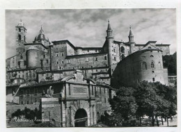 AK 220444 ITALY - Urbino - Panorama - Urbino