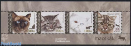 Hungary 2005 Cats 4v M/s, Mint NH, Nature - Cats - Unused Stamps