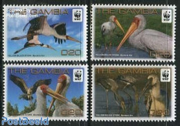 Gambia 2011 WWF, Stork (mycteria Ibis) 4v, Mint NH, Nature - Birds - World Wildlife Fund (WWF) - Gambia (...-1964)