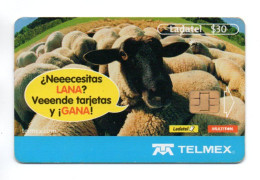 Mouton  Télécarte Mexique Phonecard  ( A 284) - Mexique