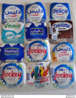 Lot De 12 Opercules De Yaourt Tunisie - Koffiemelk-bekertjes