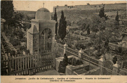 Jerusalem - Jardin De Gethsemanie - Palestina