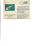 Russia -  Postal Stationery Cover Used 1974  -  Marine Mammals - Whale - Whales