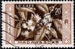 Madagascar Poste Obl Yv:331 Mi:435 Le Café (TB Cachet Rond) - Used Stamps