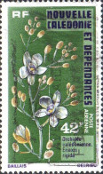 Nle-Calédonie Avion Obl Yv:165 Mi:565 Orchidées Calédoniennes Eriaxis Rigida (Belle Obl.mécanique) - Oblitérés