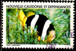 Nle-Calédonie Avion Obl Yv:236 Mi:733 Amphirion Clark II (Beau Cachet Rond) - Used Stamps