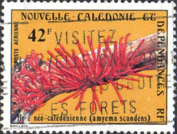 Nle-Calédonie Avion Obl Yv:184 Mi:609 Amyema Scandens (Belle Obl.mécanique) - Used Stamps