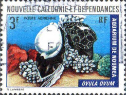 Nle-Calédonie Avion Obl Yv:150 Mi:547 Ovula Ovum (Belle Obl.mécanique) - Used Stamps