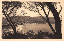 83-LE LAVANDOU-N°LP2993-H/0165 - Le Lavandou