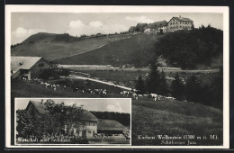 AK Weissenstein, Gasthaus Zum Sennhaus, Kurhaus Weissenstein Mit Weidenden Kühen, Solothurner Jura  - Otros & Sin Clasificación