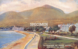 The Promenade And Marine Gardens - Newcastle Co. Down - Newcastle-upon-Tyne