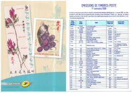 Calendrier Des émissions De Timbres Français 1er Semestre 2008 - Photo Du Timbre "Année Du Rat" Lettre Prioritaire 20g - Documenten Van De Post