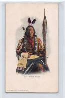 Usa - Native Americana - Last Horse, Indian Chief - Publ. E. C. Kropp 236 - Indiens D'Amérique Du Nord