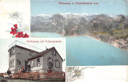 FROHNALPSTOCK (SZ) Panorama - Wirthshaus - Verlag F. Beeler 721 - Otros & Sin Clasificación