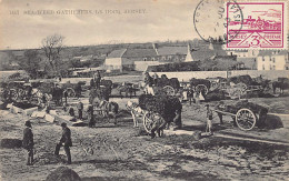 Jersey - LE HOCQ - Sea-weed Gatherers - Publ. Unknown  - Other & Unclassified