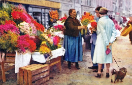 06 - Alpes Maritimes -  NICE -  Le Marché Aux Fleurs - Mercadillos