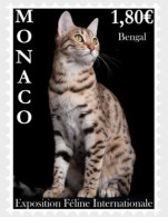 Monaco 2023 International Cat Show Stamps MNH - Unused Stamps