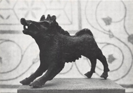 CAHORS Musee Municipal Mosaique Et Sanglier Gallo Romains Trouves Dans Le Sous Sol De Cahors 19(scan Recto-verso) MA723 - Cahors