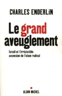 Le Grand Aveuglement : Israël Et L'irrésistible Ascension De L'islam Radical (2009) De Charles Enderlin - Geschiedenis