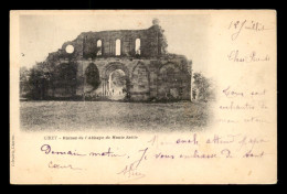 54 - CIREY - RUINES DE L'ABBAYE DE HAUTE SEILLE - Cirey Sur Vezouze