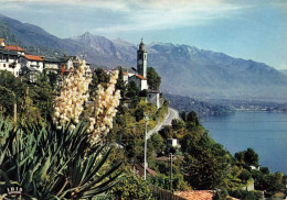 SUISSE - Ascona - Lago Maggiore - Pancaldi - Ronco S - Carte Postale Ancienne - Ascona