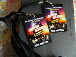 DANSE AVEC LES STARS :LOT DE 2 PASS PRESTIGE DE LA TOURNEE  EN 2013 AVEC ALIZEE -LAURENT OURNAC ECT - Concerttickets