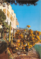 Hotel Westminster ROQUEBRUNE Sa Terrasse Et Jardin 3(scan Recto-verso) MA838 - Roquebrune-Cap-Martin