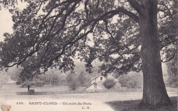 SAINT CLOUD(ARBRE) - Saint Cloud