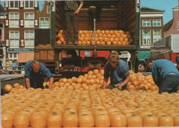 106488 - Niederlande - Alkmaar - Kaasmarkt - Ca. 1980 - Alkmaar