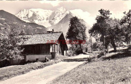 CPSM - SAINT GERVAIS LES BAINS - ROUTE DE SAINT NICOLAS - Saint-Gervais-les-Bains