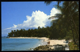 Barbados West Coast Beach Alric Gaskin - Barbados (Barbuda)