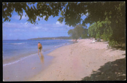 Barbados St Peter Heywoods Beach Sunshine Ltd - Barbados (Barbuda)