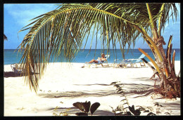 Barbuda Coco Point Lodge Nancy Cooke - Barbades