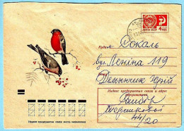 USSR 1973.1016. Bullfinch (Pyrrhula Pyrrhula). Prestamped Cover, Used - 1970-79