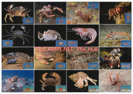 LIBYA 1996 Crustaceans Crustacea (16 Maximum-cards) - Schalentiere