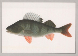 PESCE Animale Vintage Cartolina CPSM #PBS857.A - Poissons Et Crustacés