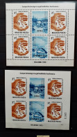 07 - 24 - Hongrie - Value 270 Euros - Bloc N°105 + 105A  - Non Dentelé  ** - MNH - Helsinky 1973 - Blocks & Sheetlets