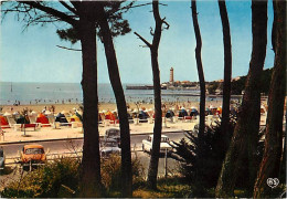 17 - Saint Georges De Didonne - La Plage à Travers Les Pins - Automobiles - CPM - Voir Scans Recto-Verso - Saint-Georges-de-Didonne