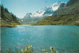 Lago Combal - Sullo Sfondo Pyramides Calcaires - Rifugio Elisabetta - Formato Grande Viaggiata – FE170 - Trento