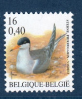 Belgique, België, **, Yv 3009, Mi 3061, SG 3546, Sterne Pierregarin, (Sterna Hirundo), - Nuevos